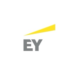 EY logosu